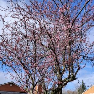 Meet your Posher, Walter